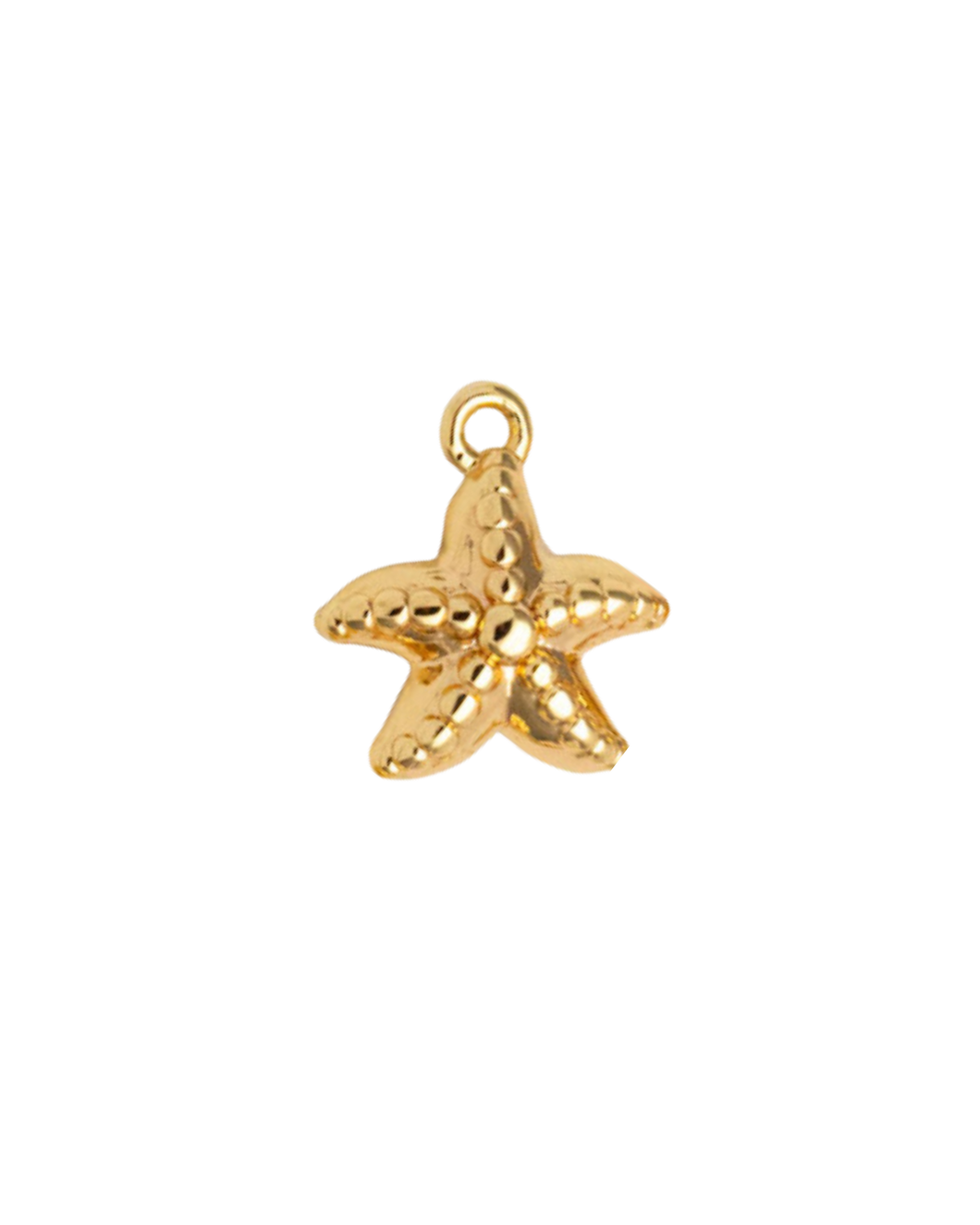 Small Starfish Charm