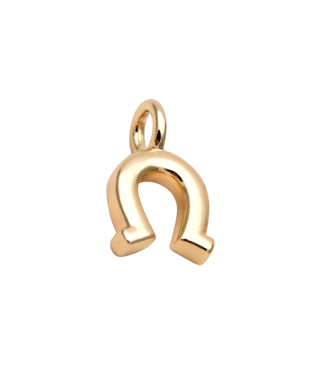 Small Horseshoe Charm