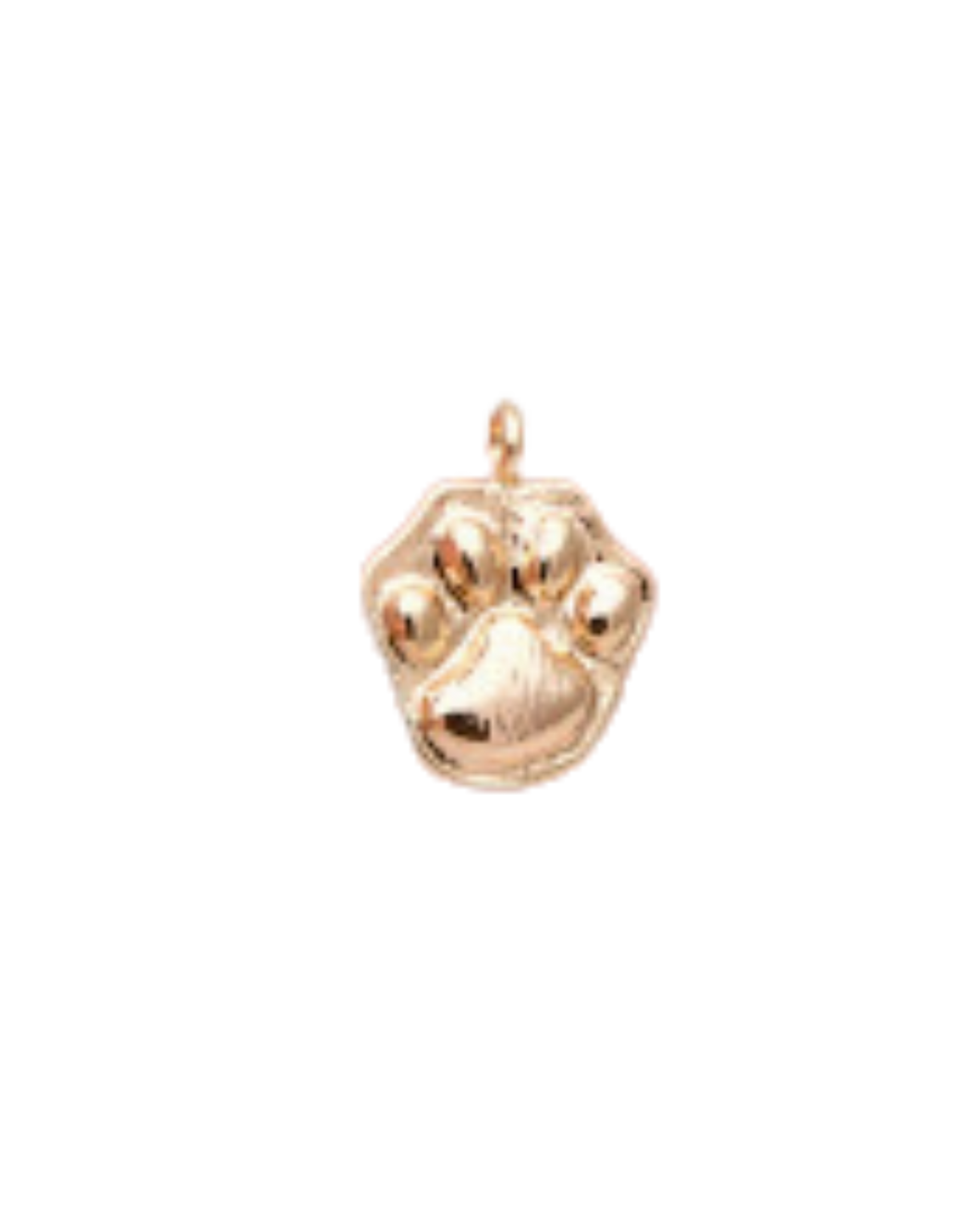 Paw Print Charm