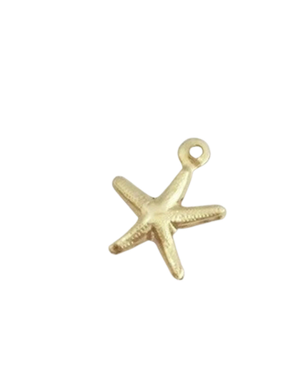 Big Starfish Charm